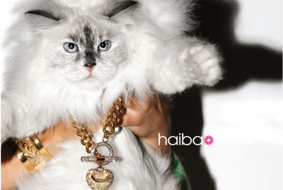 Juicy Couture 2012 Holiday系列时装珠宝